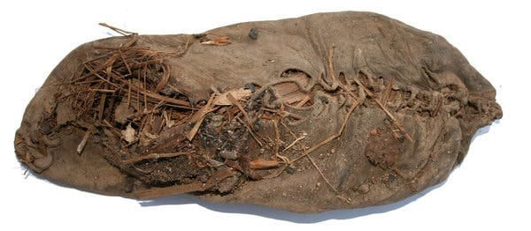 Rediscovering Footsteps from 5500 Years Ago: The Tale of the Areni-1 Shoe